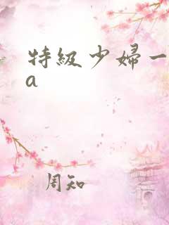 特级少妇一级aa