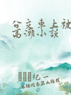 公交车上被摸到高潮小说