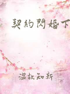 契约闪婚下载