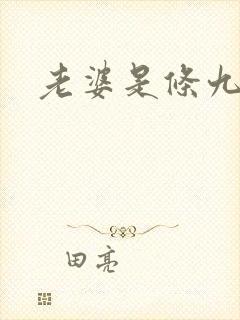 老婆是条九尾狐