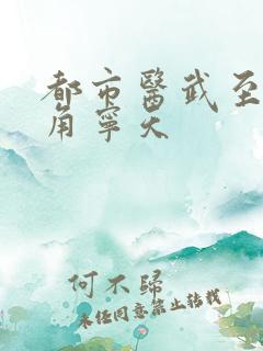 都市医武至尊主角宁天