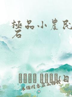 极品小农民 久石