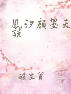 凤汐颜墨天问小说