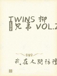 TWINS 柳澤兄弟 VOL.2