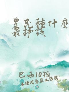 农民种什么蔬菜最挣钱