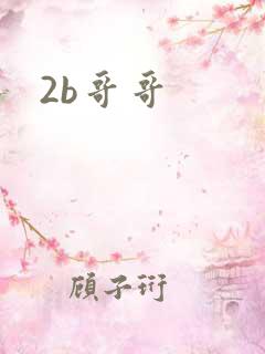 2b哥哥