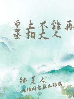 皇上不能再进了丞相大人