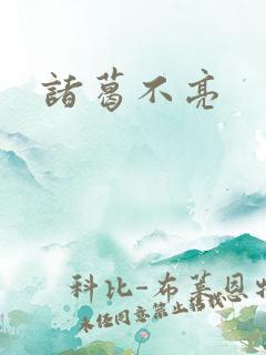 诸葛不亮