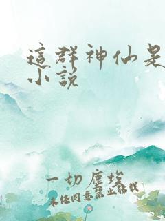 这群神仙是假的小说