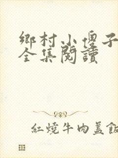 乡村小傻子小说全集阅读