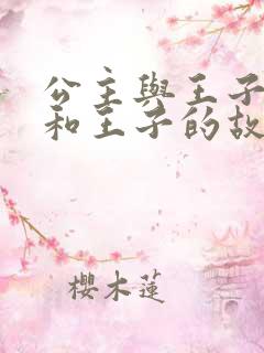 公主与王子公主和王子的故事