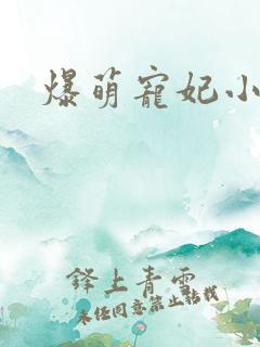 爆萌宠妃小说