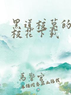 黑道校草的黑道校花下载