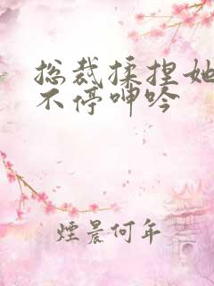 总裁揉捏她两乳不停呻吟