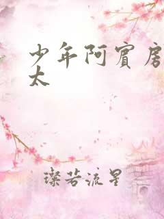 少年阿宾房东太太
