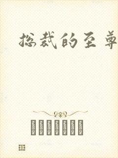 总裁的至尊前妻