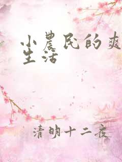 小农民的爽歪歪生活