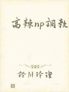 高辣np调教文