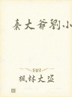 秦大爷刘小静