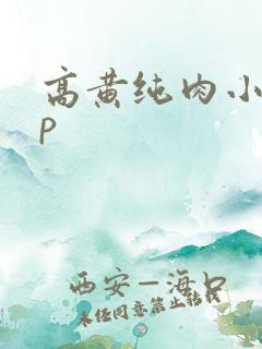 高黄纯肉小说np