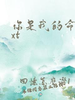 你是我的命运txt