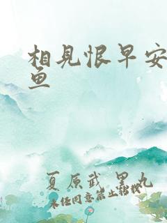 相见恨早安然的鱼