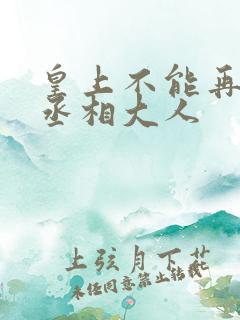 皇上不能再进了丞相大人