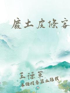 废土皮条客
