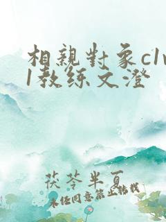 相亲对象c1v1教练文澄