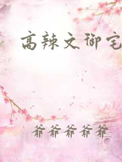 高辣文御宅屋