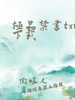 极品禁书txt下载