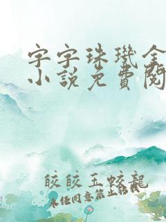 字字珠玑金银花小说免费阅读