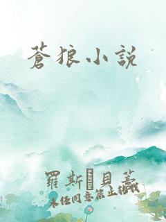 苍狼小说