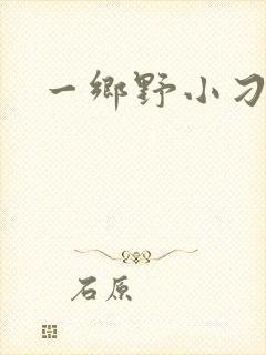 一乡野小刁民