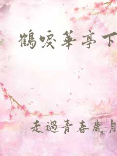鹤唳华亭下载