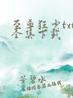 至尊狂少txt全集下载