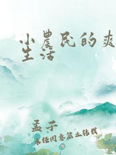 小农民的爽歪歪生活