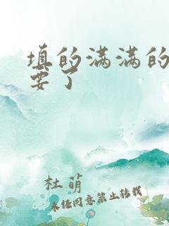 填的满满的 不要了
