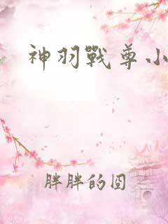 神羽战尊小说