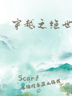 穿越之绝世皇后