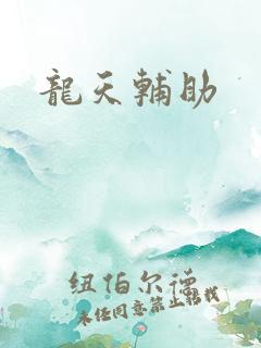 龙天辅助