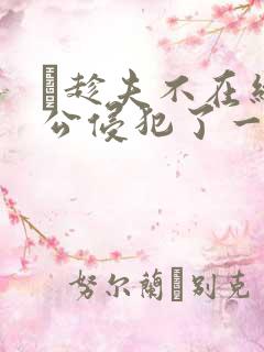 巜趁夫不在给给公侵犯了一天