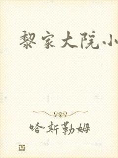 黎家大院小说