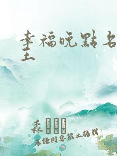幸福晚点名 大王