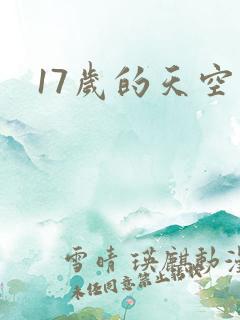 17岁的天空