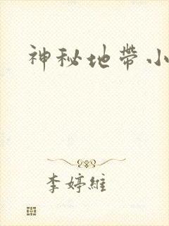 神秘地带小说