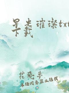 星光璀璨txt下载