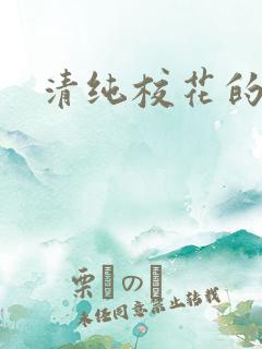 清纯校花的被