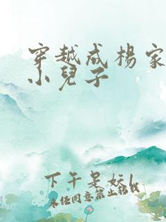 穿越成杨家将最小儿子