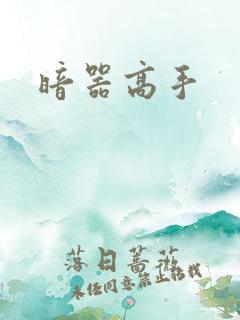 暗器高手